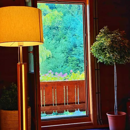 Foersterhaus 41