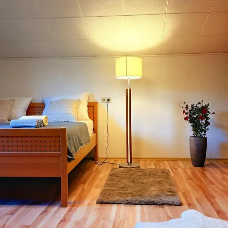 Foersterhaus 41 度假居 *